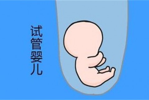 培养合肥捐卵宝宝艺术细胞的小技巧