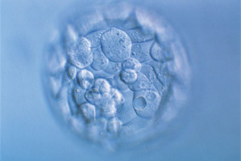 http://hefei.huochezhan.net/post/200.html|合肥新闻中心